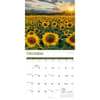 image Sunflowers 2025 Wall Calendar Fourth Alternate Image width=&quot;1000&quot; height=&quot;1000&quot;