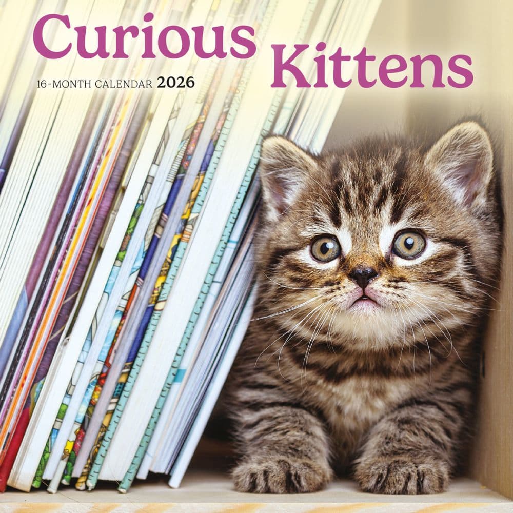 Curious Kittens 2026 Mini Wall Calendar Main Image