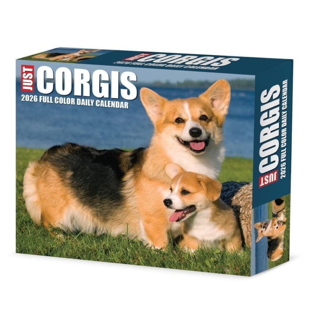 Just Corgis 2026 Desk Calendar Main Product Image