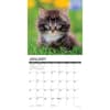 image Just Kittens 2025 Wall Calendar