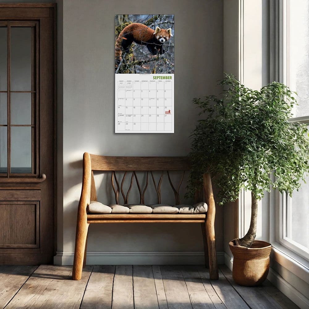 Red Pandas 2025 Wall Calendar Fourth Alternate Image width="1000" height="1000"