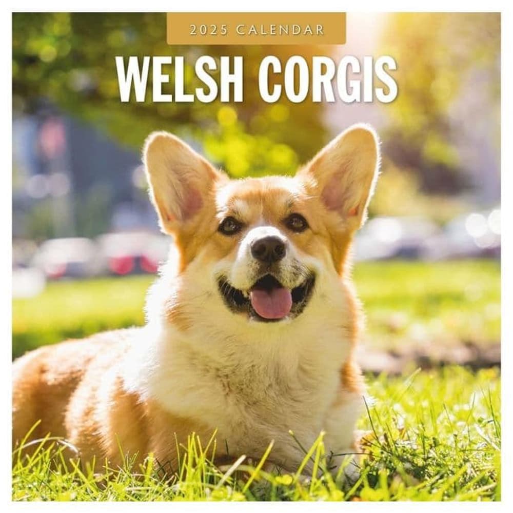 Welsh Corgis 2025 Wall Calendar Main Product Image