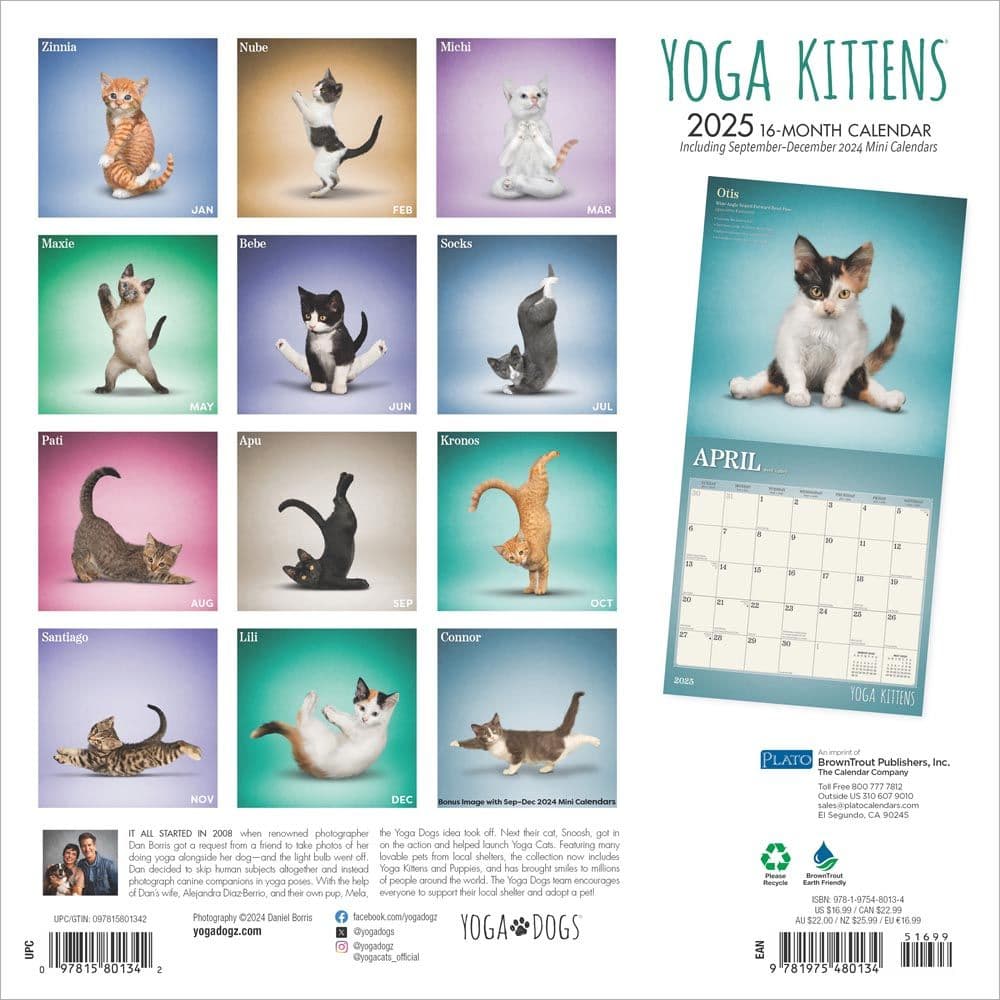 Yoga Kittens Plato 2025 Wall Calendar First Alternate Image