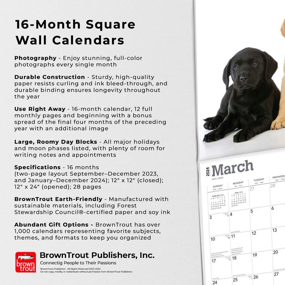 Lab Retriever Puppies  2024 Wall Calendar Alternate Image 4