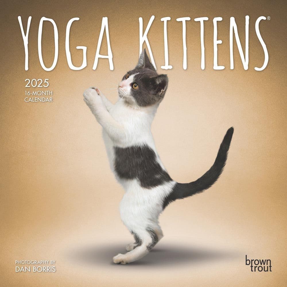 Yoga Kittens 2025 Mini Wall Calendar Main Product Image width=&quot;1000&quot; height=&quot;1000&quot;