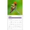 image Hummingbirds 2024 Mini Wall Calendar alternate 2
