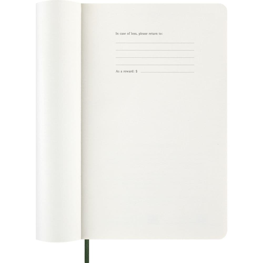 Moleskine Myrtle Green Soft Cover Large 2027 Daily Planner Sixth Alternate Image