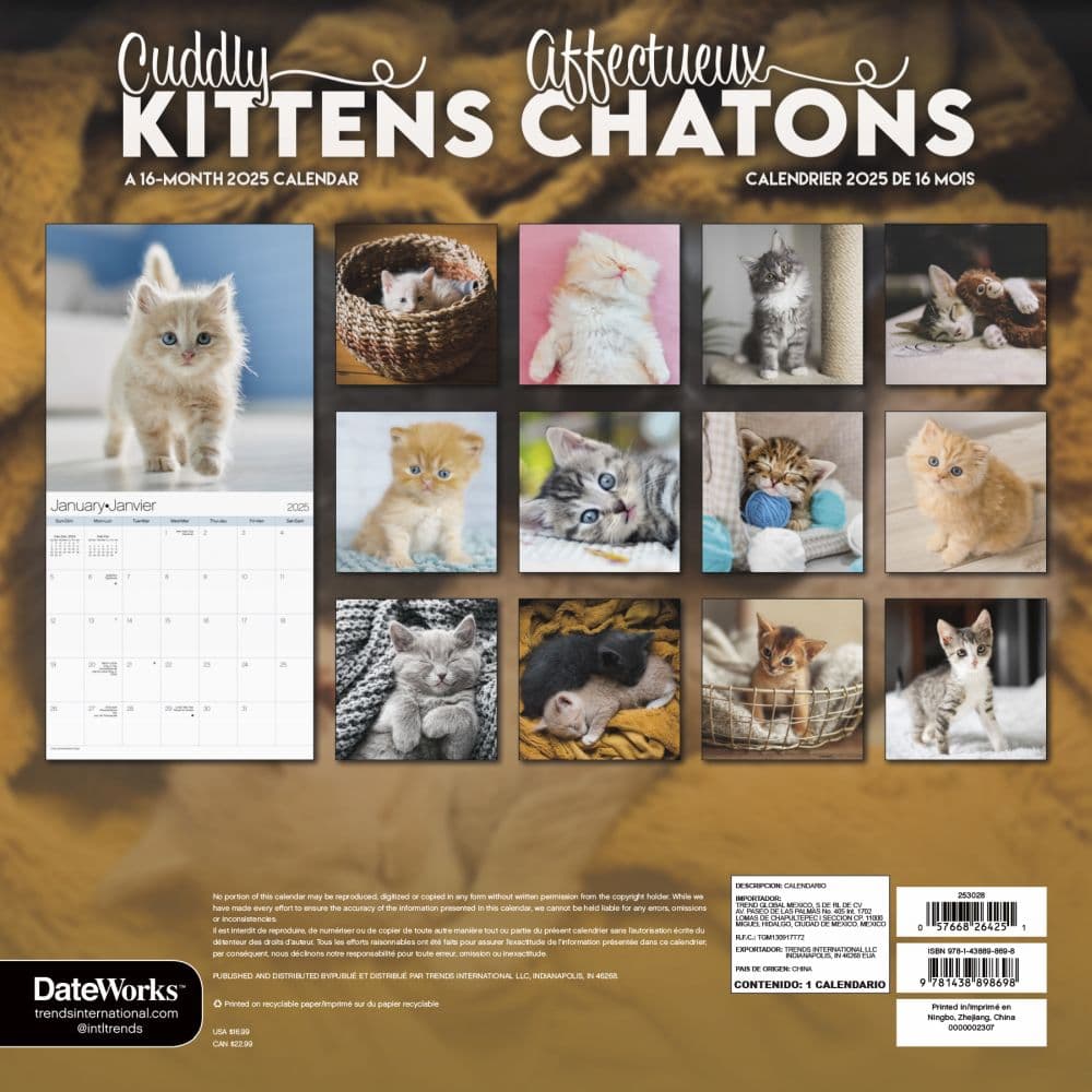 Kittens Bilingual French and English 2025 Wall Calendar Alt2