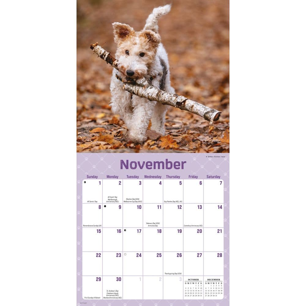 Playful Puppies 2026 Mini Wall Calendar Fourth Alternate Image