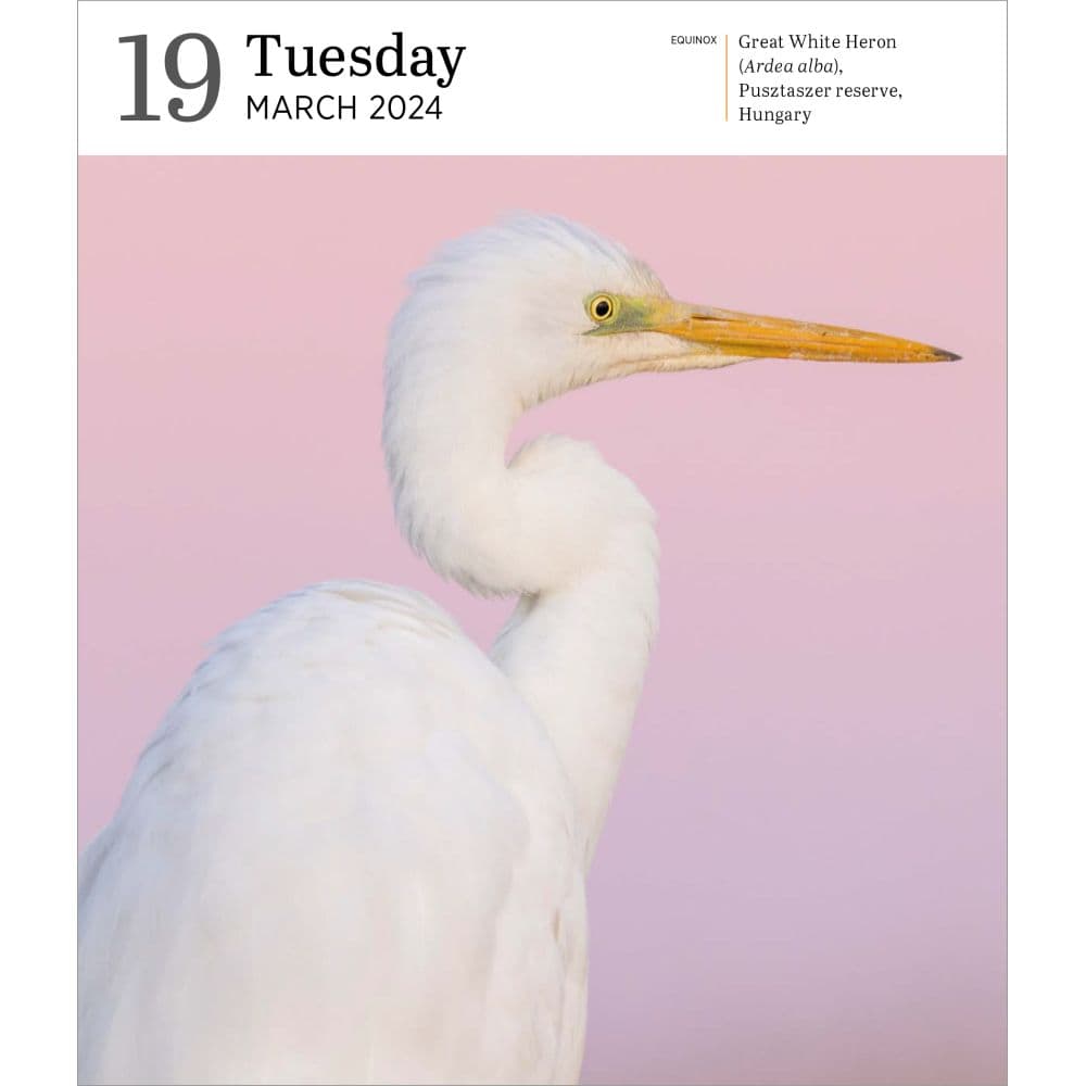 Audubon Nature Gallery 2024 Desk Calendar