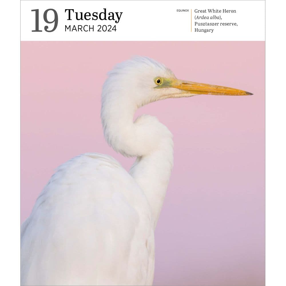 audubon-nature-gallery-2024-desk-calendar-calendars
