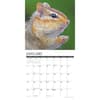 image Chipmunks Gone Nuts 2025 Wall Calendar Second Alternate Image width=&quot;1000&quot; height=&quot;1000&quot;