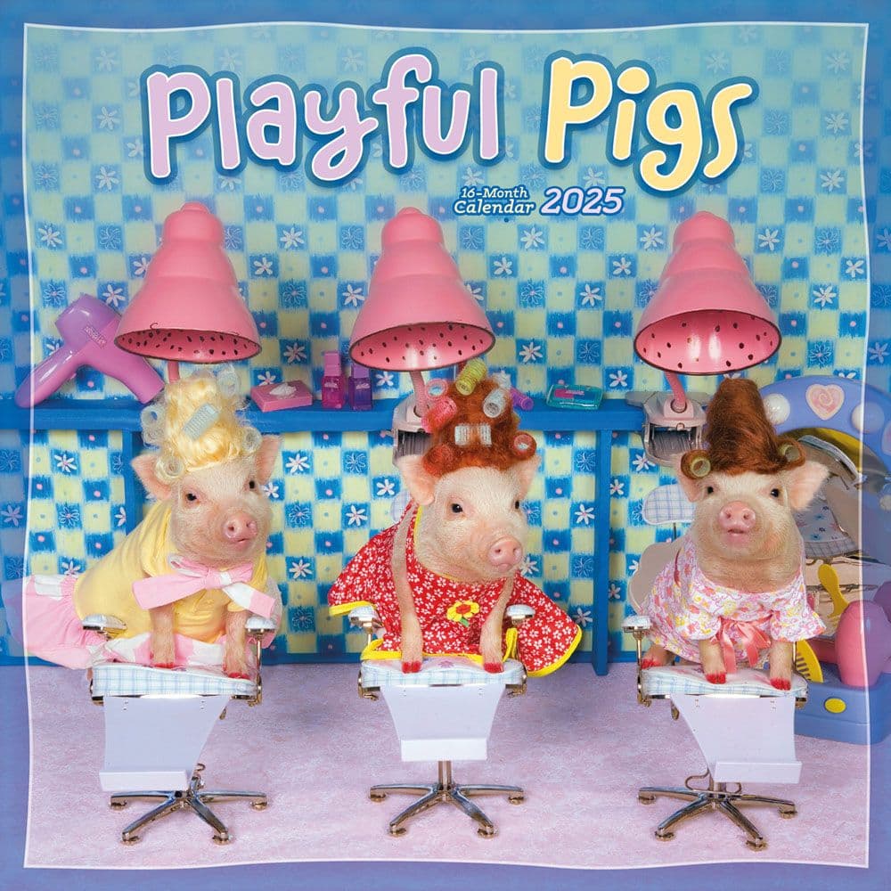 Pigs Playful 2025 Wall Calendar