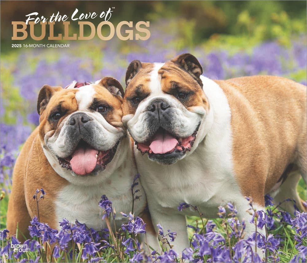 Bulldogs Deluxe 2025 Wall Calendar