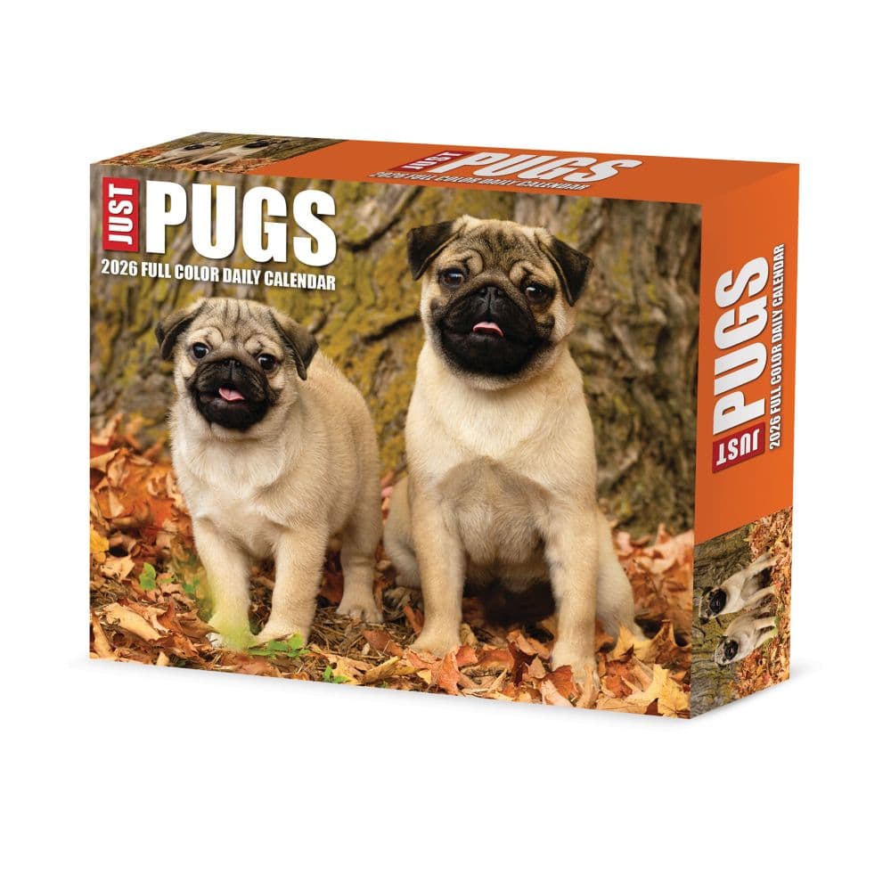 Just Pugs 2026 Desk Calendar  Main Image