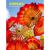 image Chihuly 12 Month Weekly 2026 Planner Main Image