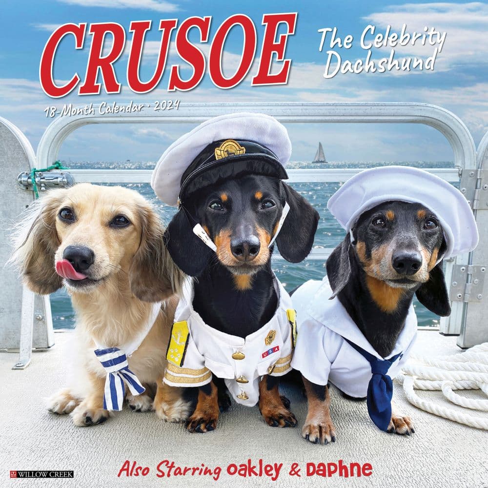 Crusoe The Celebrity Dachshund 2024 Wall Calendar Calendars Com   3b1c8926 9e16 4832 Bd1e B60bdd4ffe83