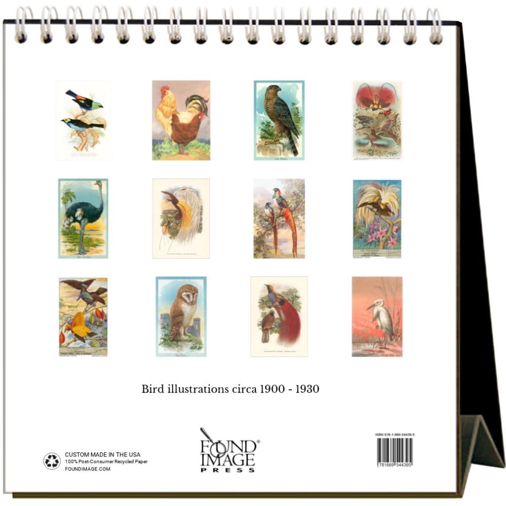 Birds 2025 Easel Desk Calendar First Alternate Image width="1000" height="1000"