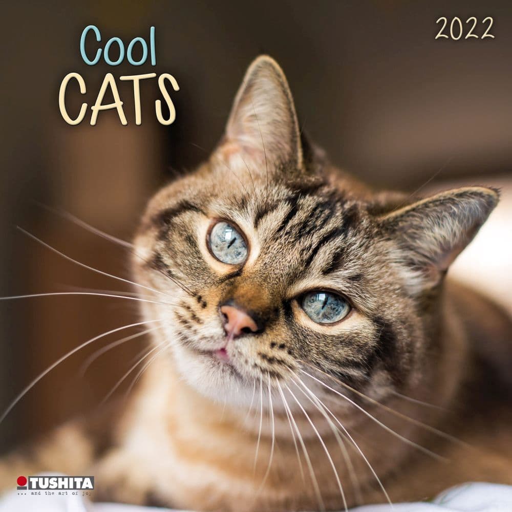 Cool Cats 2022 Wall Calendar