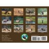 image Elk 2026 Wall Calendar First Alternate Image