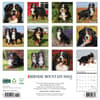 image Just Bernese Mountain Dogs 2025 Wall Calendar