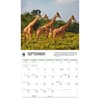 image Giraffes WWF 2026 Wall Calendar Fourth Alternate Image