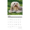 image Just Havanese 2025 Wall Calendar Second Alternate Image width="1000" height="1000"