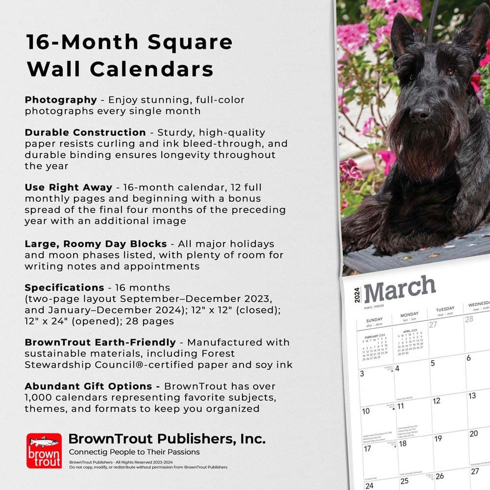Scottish Terriers 2024 Wall Calendar Fourth Alternate Image width=&quot;1000&quot; height=&quot;1000&quot;