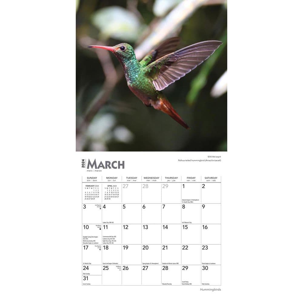 Hummingbirds 2024 Mini Wall Calendar Calendars Com   3b5e07d5 4e19 4b82 B735 Ad9eca1f9bb5