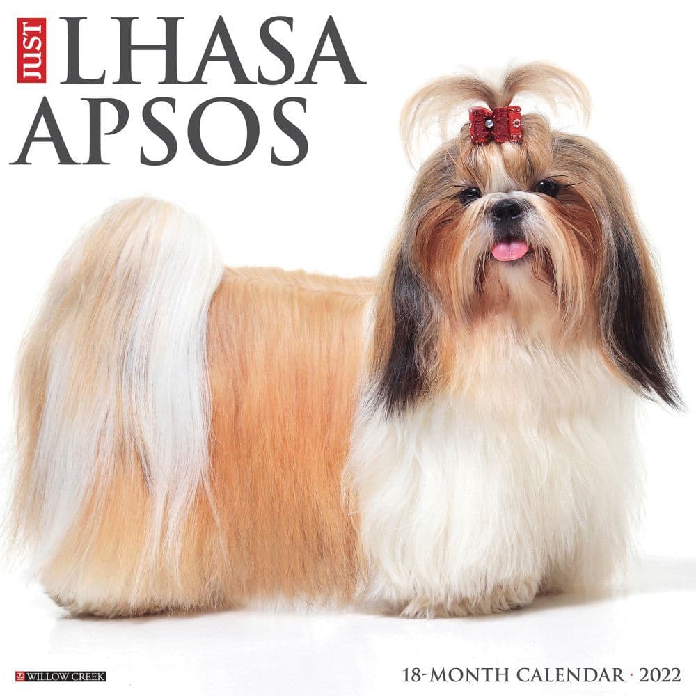 Lhasa Apsos 2022 Calendar | Dog-Calendars.com