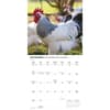 image Chickens 2026 Wall Calendar Fourth Alternate Image