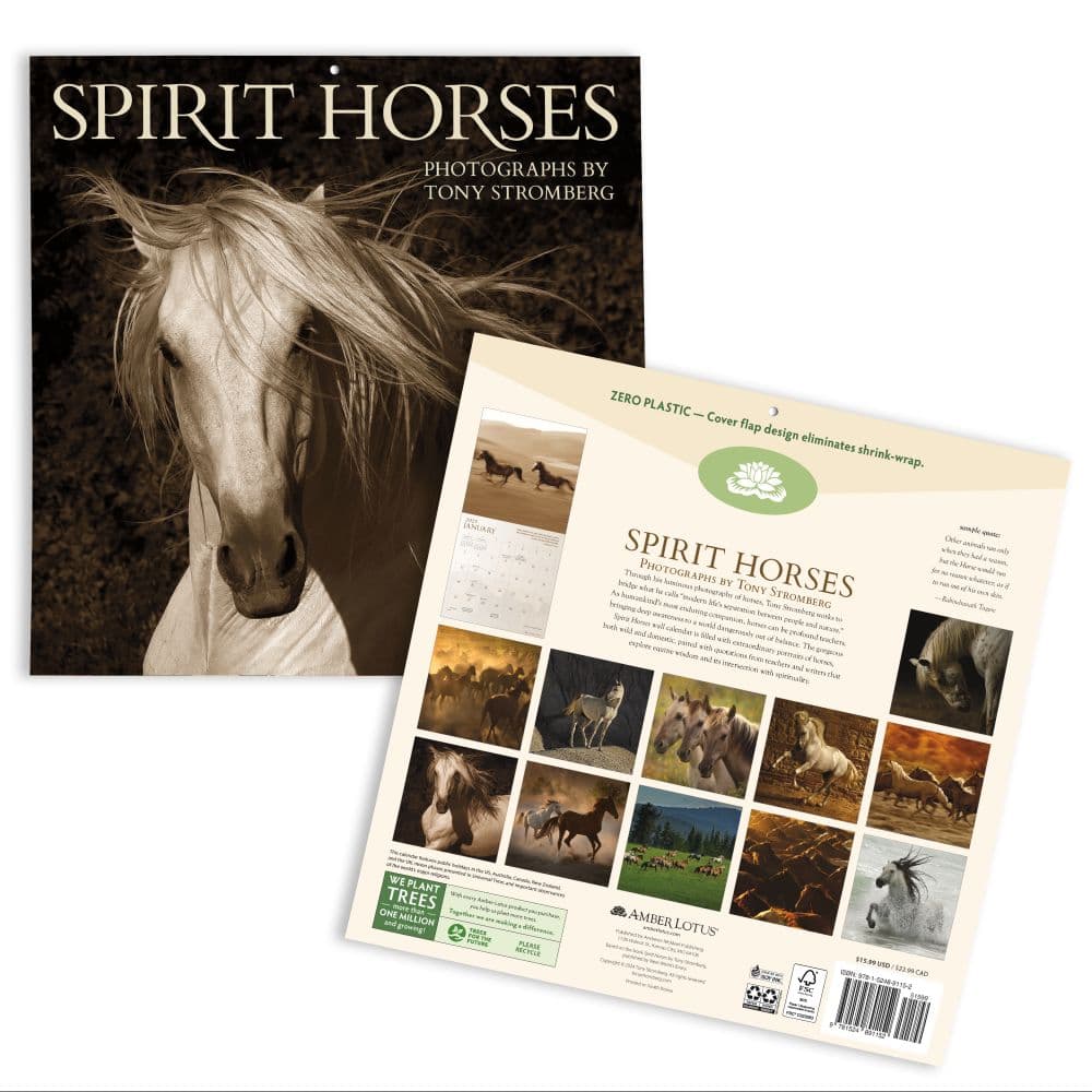 Horses Spirit 2025 Wall Calendar First Alternate Image