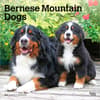 image Bernese Mountain Dogs 2027 Wall Calendar Main Product Image