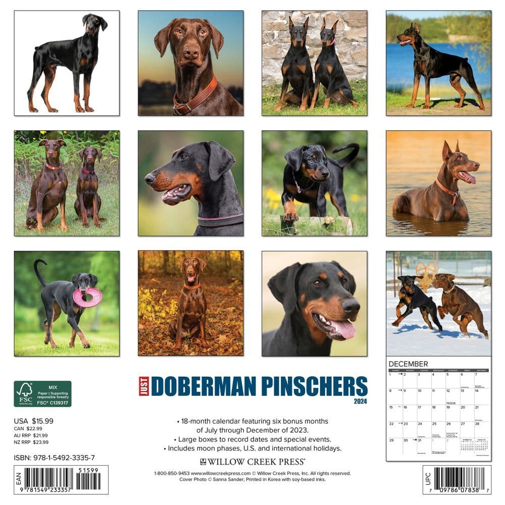 Just Dobermans 2024 Wall Calendar