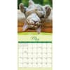 image Naptime 2025 Wall Calendar Second Alternate Image width=&quot;1000&quot; height=&quot;1000&quot;