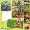 image Teddys World 2024 Wall Calendar First Alternate Image width=&quot;1000&quot; height=&quot;1000&quot;