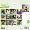 image Just Pit Bull Terrier Puppies 2026 Wall Calendar First Alternate Image