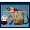 image American Cat 2024 Desktop Wallpaper