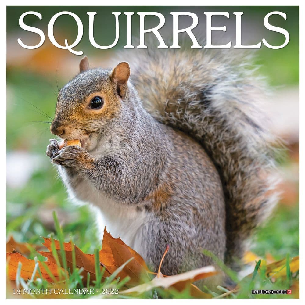 Squirrels 2022 Wall Calendar