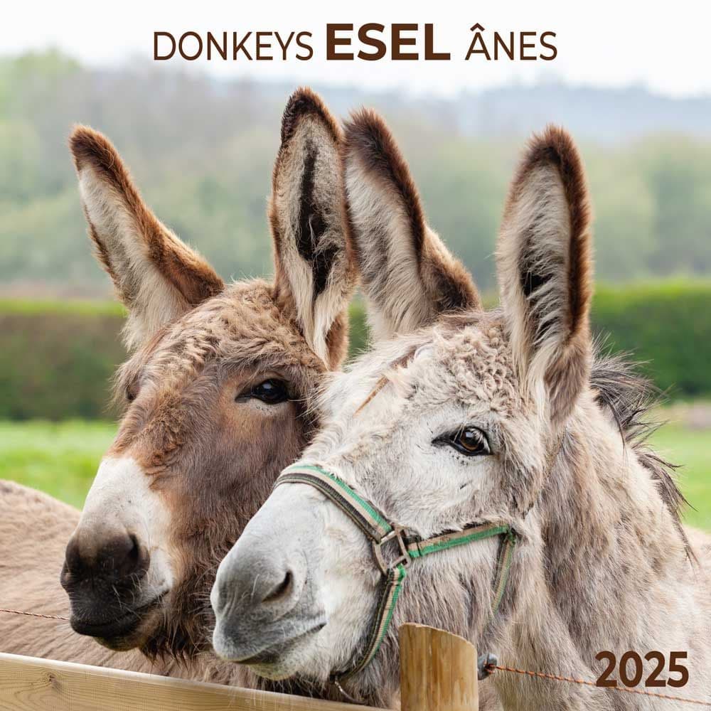 Donkeys 2025 Wall Calendar