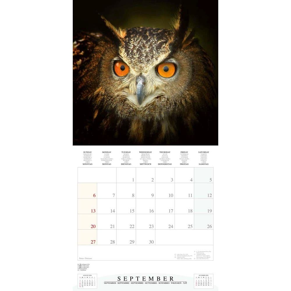 Magic Owls 2026 Wall Calendar Fourth Alternate Image