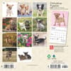 image Chihuahua Puppies 2025 Mini Wall Calendar