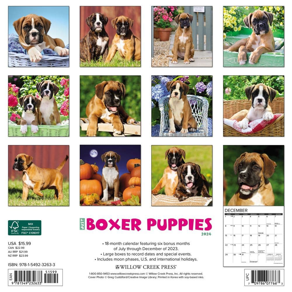 Just Boxer Puppies 2024 Wall Calendar Alternate Image 1