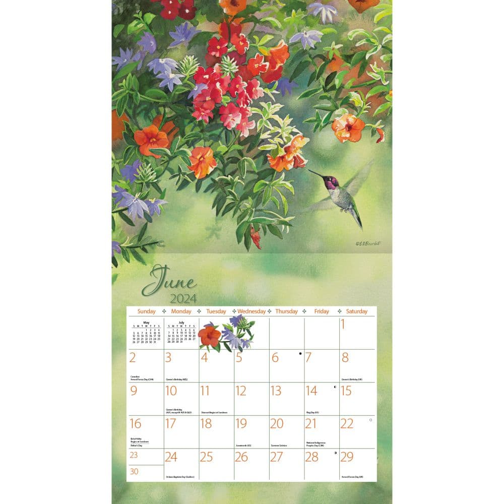 Hummingbirds 2024 Wall Calendar