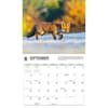 image Foxes WWF 2026 Wall Calendar Fourth Alternate Image