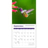 image Hummingbirds 2024 Mini Wall Calendar alternate  3