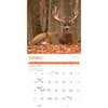 image White Tailed Deer 2025 Wall Calendar Fourth Alternate Image width=&quot;1000&quot; height=&quot;1000&quot;