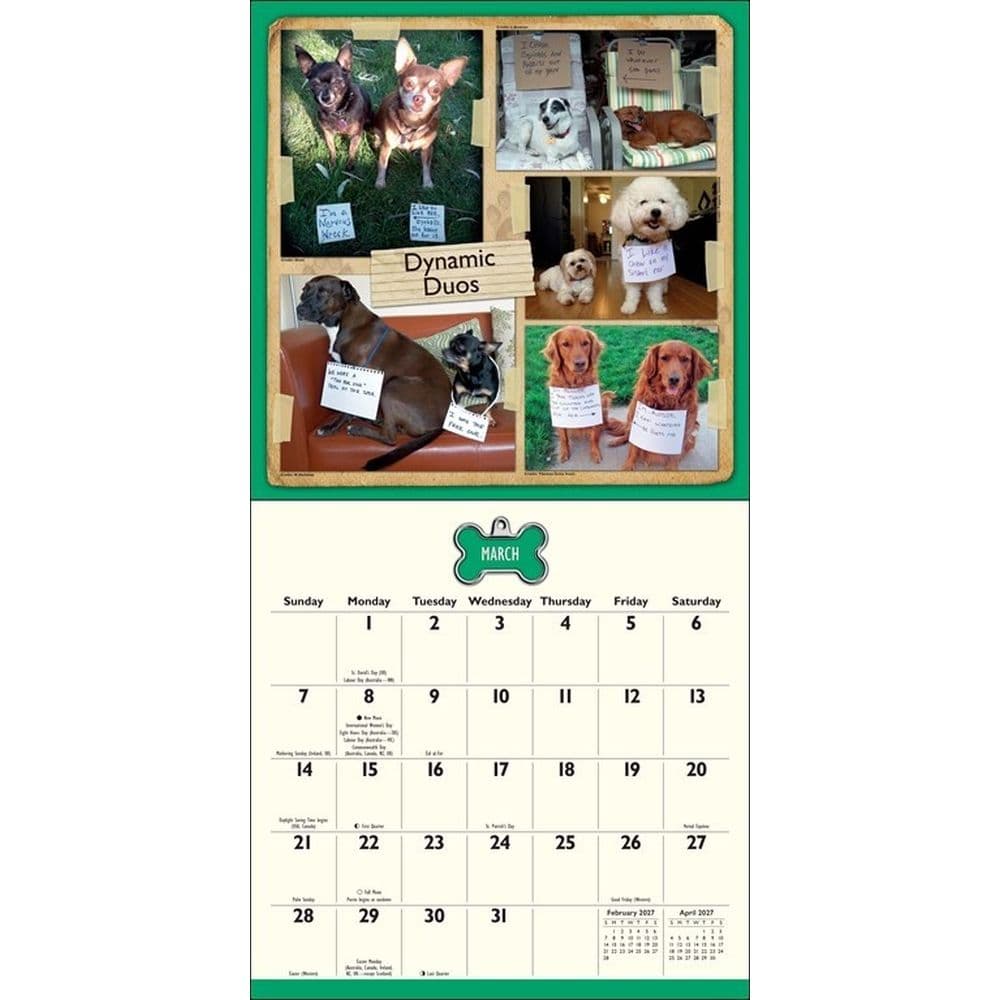 Dog Shaming 2027 Wall Calendar Fourth Alternate Image