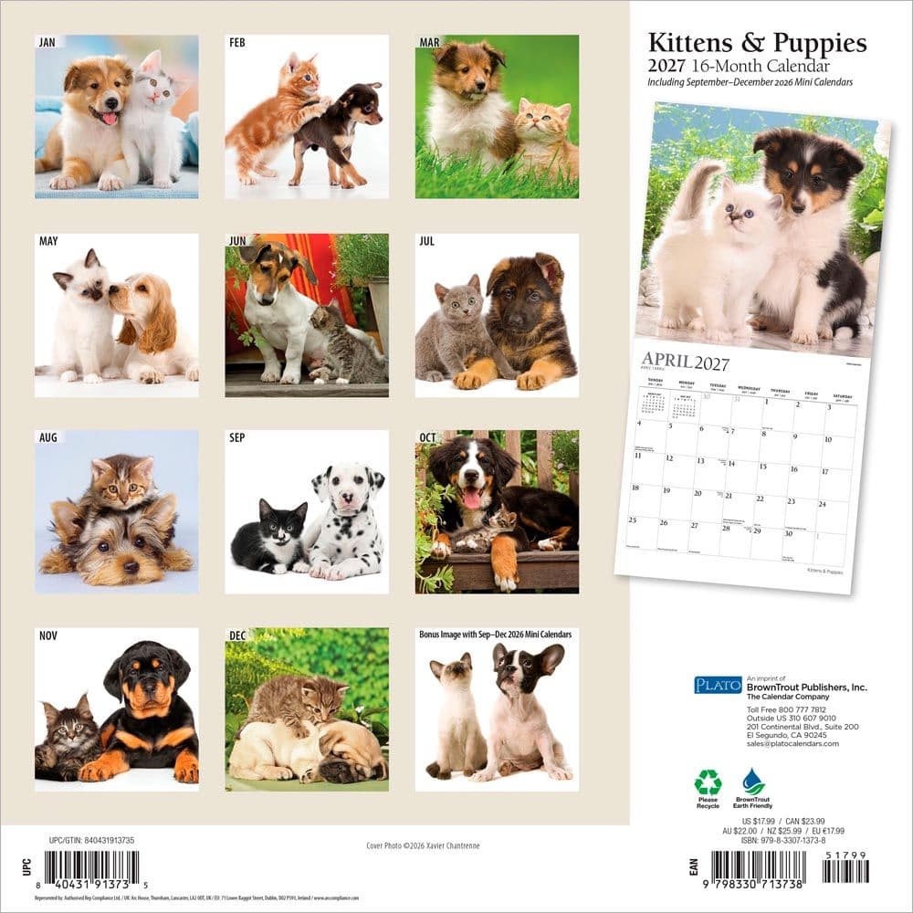 Kittens And Puppies Plato 2027 Wall Calendar First Alternate Image