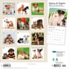 image Kittens And Puppies Plato 2027 Wall Calendar First Alternate Image